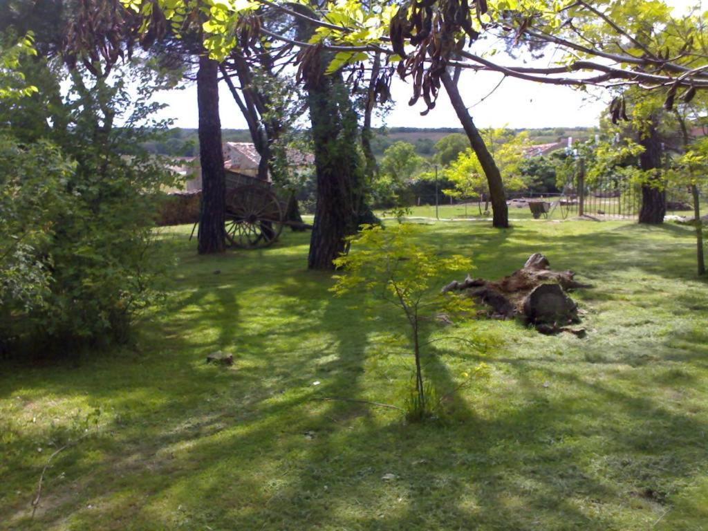 El Senorio De La Serrezuela Hotel Aldeanueva de la Serrezuela Exterior photo